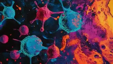 Cientistas descobrem nova parte do sistema imunológico 9 Descoberta nova parte do sistema imunológico