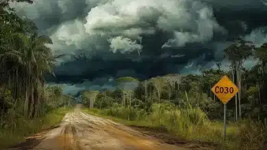 Estrada para a COP30 em Belém ameaça Amazônia 7 Estrada para COP30 em Belém ameaça Amazônia