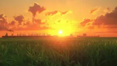 Exportação de Biodiesel do Brasil Vai Aumentar em 2025, Diz Abiove 6 Exportação de Biodiesel do Brasil Aumenta em 2025, Diz Abiove