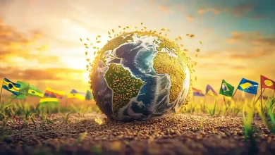 Exportação de gergelim do Brasil para a China cresce com a habilitação de 21 empresas 8 Exportação de Gergelim: 21 Empresas Brasileiras Aprovadas