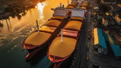 Terminal de São Luís recebe autorização para exportação de milho para China 1 Exportação de milho para China fortalece São Luís