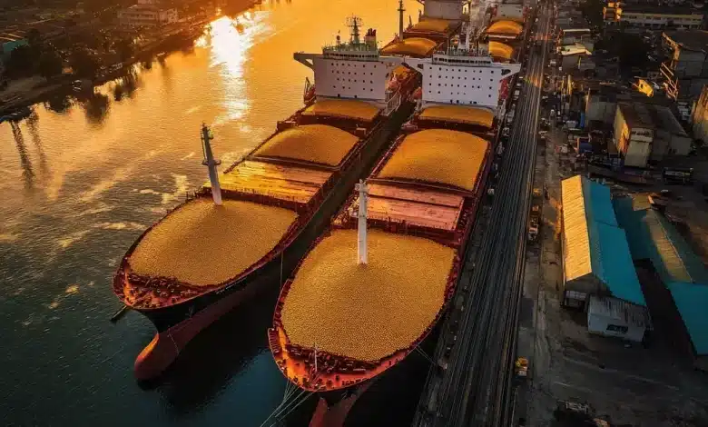 Exportação de milho para China fortalece São Luís