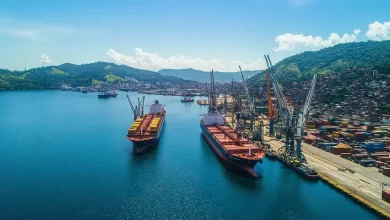 Porto de Santos Aumenta Exportação de Celulose em 1,2 Milhão T 4 Porto de Santos Aumenta Exportação de Celulose em 1,2 Milhão T