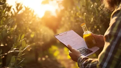 Produtores de Azeite no Brasil Buscam Compensação Fiscal 6 Produtores de Azeite Brasileiro Buscam Compensação Fiscal