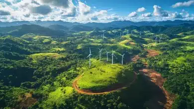Projeto Busca Eliminar Subsídios ao Carvão Mineral no Brasil 5 Projeto Busca Eliminar Subsídios ao Carvão Mineral no Brasil