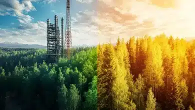 Projeto define solução de conflitos entre estocagem de carbono e petróleo 6 Projeto define solução de conflitos entre estocagem de carbono e petróleo