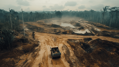 Mineração Energética Acelera Crise Climática no Brasil 10 Mineração Energética Acelera Crise Climática no Brasil