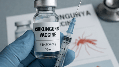 Anvisa aprova primeira vacina para Chikungunya no Brasil 7 Anvisa aprova primeira vacina Chikungunya no Brasil