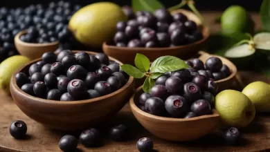 Açaí de Bailique conquista Indicação Geográfica e valoriza região 9 Açaí de Bailique conquista Indicação Geográfica e valoriza região