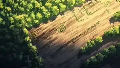 Brasil registra recorde de contaminação por agrotóxicos na década 1 Brasil registra recorde de contaminação por agrotóxicos na década