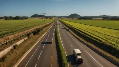 Cultivo Agrícola é Autorizado em Rodovias Paulistas 7 Cultivo Agrícola é Autorizado em Rodovias Paulistas