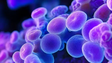 Desafios das infecções fúngicas resistentes a medicamentos