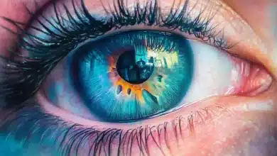 Descobertas podem salvar visão da degeneração macular 6 Descobertas podem salvar visão da degeneração macular