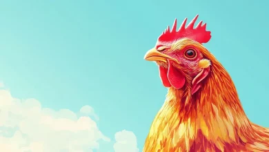 Exportação de Frango do Brasil para Países Árabes Cresce Quase 10% 1 Exportação de Frango do Brasil para Países Árabes Cresce 10%
