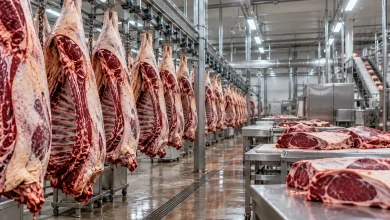 Frigoríficos de carne bovina do Brasil serão inspecionados pelos EUA 4 Frigoríficos de carne bovina do Brasil serão inspecionados pelos EUA