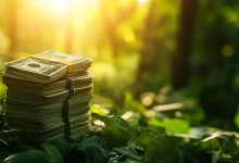 Governo busca US$ 2 bi em financiamentos verdes com novo leilão