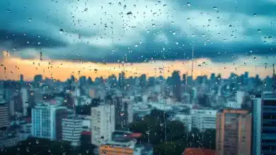 Pesquisa revela agrotóxicos na chuva de cidades paulistas 3 Pesquisa revela agrotóxicos na chuva de cidades paulistas