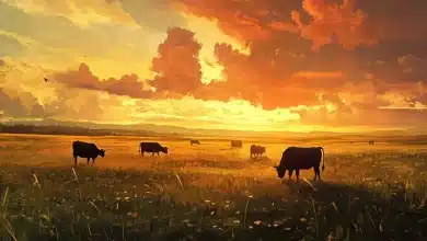 Produção de carne bovina no Brasil ultrapassa metas de emissão 8 Produção de carne bovina no Brasil ultrapassa metas de emissão