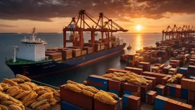 VLI Expande Exportação de Milho para China pelo Espírito Santo 6 VLI Expande Exportação de Milho para China pelo Espírito Santo