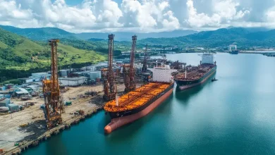 Vports Aumenta Capacidade Portuária para Navios Panamax em Vitória 3 Vports Aumenta Capacidade Portuária para Navios Panamax em Vitória