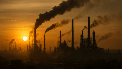 Indústria do Aço da Índia Ameaça Metas Climáticas Globais 4 Indústria do Aço da Índia Ameaça Metas Climáticas Globais