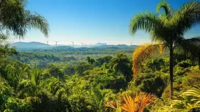 Brasil pode zerar emissões de gases do efeito até 2040, diz Carlos Nobre 10 Brasil pode zerar emissões até 2040, diz Carlos Nobre