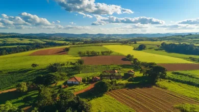 Crédito Agrícola SP: Governo anuncia R$ 150 Mi para Inovação e Sustentabilidade 5 Crédito Agrícola SP: R$ 150 Mi para Inovação e Sustentabilidade