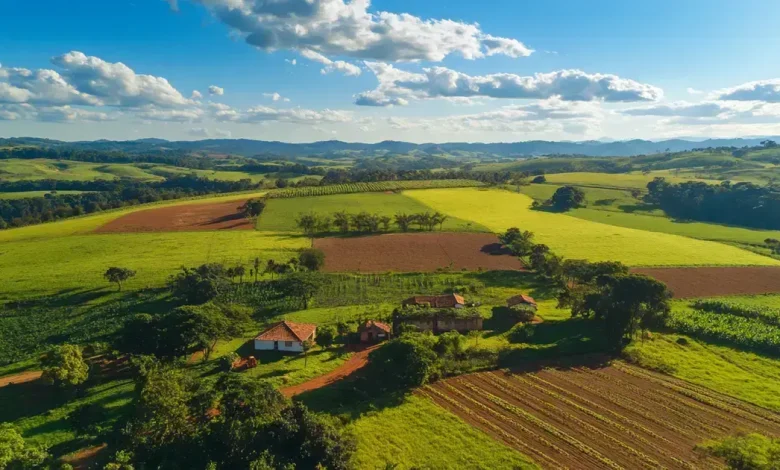 Crédito Agrícola SP: R$ 150 Mi para Inovação e Sustentabilidade