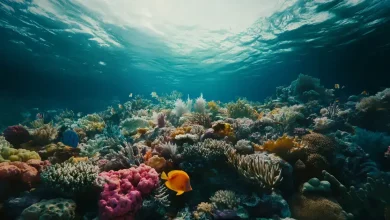 Escurecimento dos oceanos ameaça vida marinha global 5 Escurecimento dos Oceanos Ameaça Vida Marinha Global