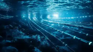 Governo Expande Cabos Submarinos para Impulsionar Conectividade 8 Governo Expande Cabos Submarinos para Impulsionar Conectividade