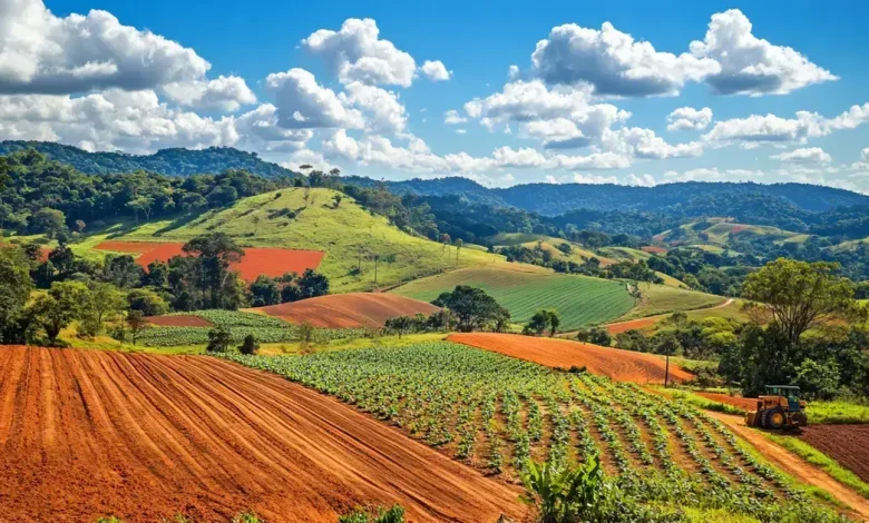 PIB Agropecuária Impulsiona Crescimento Econômico no Brasil