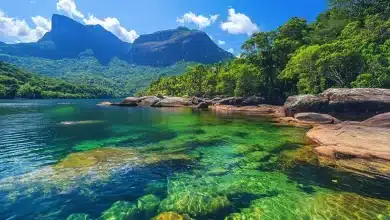 Redução do desmatamento em todos os biomas brasileiros em 2024 2 Redução do desmatamento em todos os biomas brasileiros em 2024