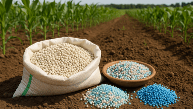 Poder de compra de fertilizantes cai no Brasil em 2025 1 Poder de compra de fertilizantes cai no Brasil em 2025