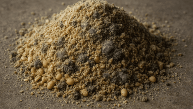 Fiscalização intercepta farelo de soja adulterado no Porto de Paranaguá 8 Fiscalização intercepta farelo de soja adulterado no Porto de Paranaguá