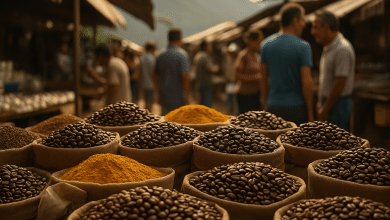 Monitoramento de qualidade do café impulsiona mercado em MG 1 Monitoramento de qualidade do café impulsiona mercado em MG