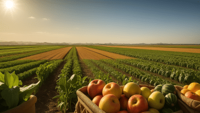 Exportações do agronegócio argentino crescem 17% em maio 10 Exportações do agronegócio argentino crescem 17% em maio