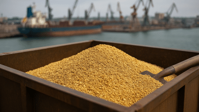 Argentina inicia exportação de farelo de soja para China 2 Argentina inicia exportação de farelo de soja para China