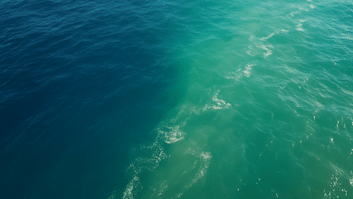 Mudança nas cores do oceano pode impactar humanos 5 Mudança nas cores do oceano pode impactar humanos