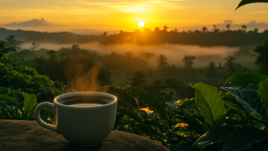 Café Torrinha obtém Indicação Geográfica e ganha destaque 1 Café Torrinha obtém Indicação Geográfica e ganha destaque