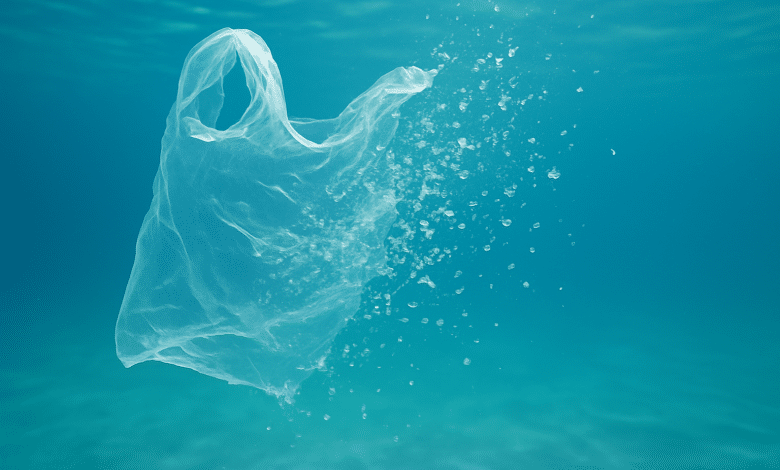 Plástico biodegradável japonês promete combater poluição marinha