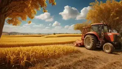 Crédito rural alcança R$ 330,9 Bi na safra 2024/25 8 Crédito Rural Alcança R$ 330,9 Bi na Safra 2024/25