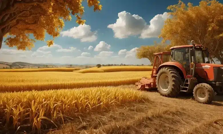 Crédito Rural Alcança R$ 330,9 Bi na Safra 2024/25