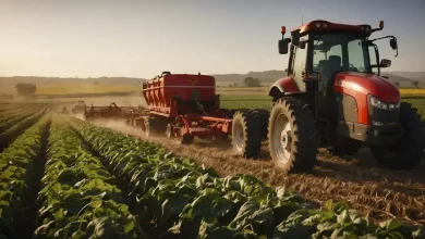 Instrução Normativa SPOA nº 6 define critérios para doação de maquinário agrícola 1 Critérios para doação de maquinário agrícola são estabelecidos