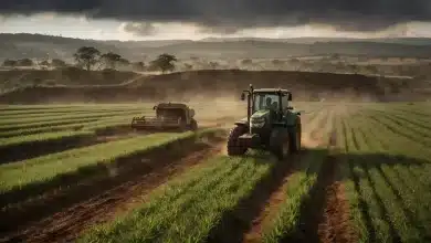 Faturamento da exportação agropecuária soma US$ 14,9 bi em maio 5 Exportação Agropecuária Cai 1,4% em Maio de 2025