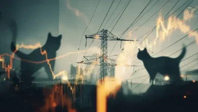 'Gatos' de energia causam prejuízo bilionário ao setor elétrico 6 Gatos de Energia Causam Prejuízo Bilionário ao Setor Elétrico