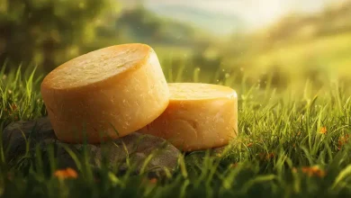 Queijo colonial do Paraná conquista Indicação Geográfica 3 Queijo Colonial do Paraná Conquista Indicação Geográfica