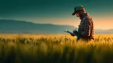 Zoneamento Agrícola de Risco Climático avança com projeto-piloto 7 Seguro Rural: Projeto-piloto ZARC Aumenta Subvenção