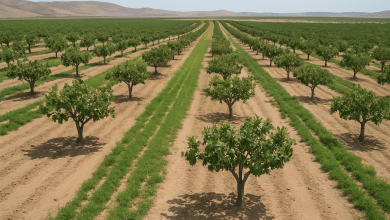 Transição ecológica em foco na Eco Expo Central Asia 2025 1 Transição ecológica em foco na Eco Expo Central Asia 2025