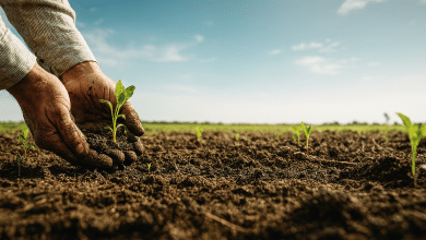 Governo inicia Programa de Redução de Agrotóxicos na agricultura 4 Governo inicia Programa de Redução de Agrotóxicos na agricultura