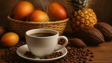 EUA estudam tarifa zero para café, manga e outros, diz secretário 1 EUA estudam tarifa zero para café, manga e outros, segundo secretário